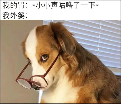 图片上方配有文字“我的胃：*小小声咕噜了一下* 我外婆：”，下方是一张戴着红色眼镜的棕白相间狗狗的照片。狗狗眼神专注，耳朵耷拉着，背景是百叶窗。通过将外婆对微小声响的敏感反应与狗狗认真倾听的模样幽默关联，展现家庭中长辈对晚辈的细心关怀，整体风格温馨搞笑。