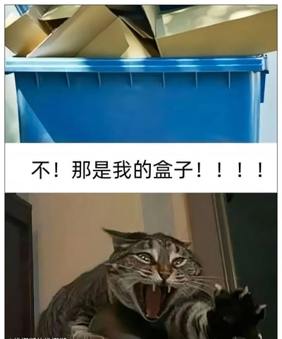 这是一张上下拼接的搞笑合成梗图，上半部分呈现了一个装满纸盒子的蓝色垃圾桶，是日常丢弃废品的场景；下半部分是一只表情极度夸张的狸花猫，它大张着嘴，眼神里满是愤怒与不舍，身体前倾伸出爪子，仿佛要扑向垃圾桶。中间的白色条带配有醒目的文字“不！那是我的盒子！！！！”，结合猫咪天生对纸盒子有着强烈喜爱的习性，生动地营造出猫咪发现自己心爱的盒子被丢进垃圾桶时，崩溃又愤怒的搞笑场景，精准戳中养猫人群的共鸣，充满生活化的趣味。