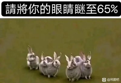 这是一张利用视觉错觉制作的趣味静态图，顶部配有提示文字“请将你的眼睛眯至65%”，画面主体是在绿色草地背景上的多组兔子身体与耳朵的组合图像。当按照提示眯起眼睛到相应程度时，原本的兔子组合会因视觉错位效果呈现出马的形象，通过这种视觉上的反差制造趣味，吸引用户尝试体验这种独特的视觉效果。
