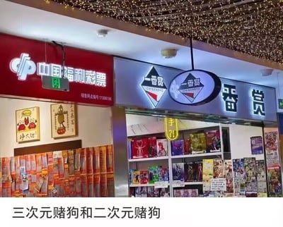 图片展示了两家相邻的店铺：左侧是红色招牌的中国福利彩票销售点，招牌上有白色“中国福利彩票”字样及销售网点编号；右侧是蓝色招牌的“一番赏”店铺，招牌包含菱形和圆形标志，店内货架陈列着各类动漫主题的周边产品。天花板悬挂着密集的装饰灯串，营造出商业区域的热闹氛围。底部文字“三次元赌狗和二次元赌狗”以幽默方式对比了购买传统彩票的“三次元赌狗”与热衷动漫周边抽奖的“二次元赌狗”，通过场景并置形成趣味反差。