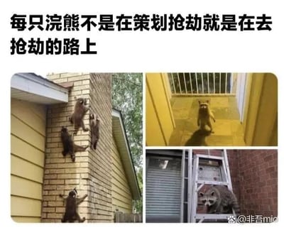 暂无描述