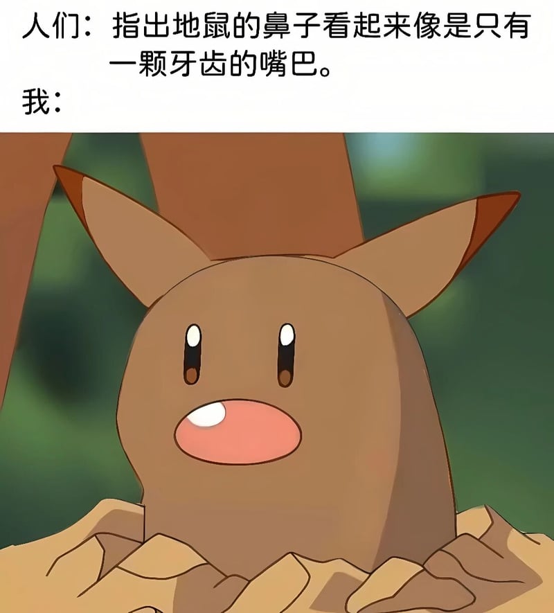 宝可梦