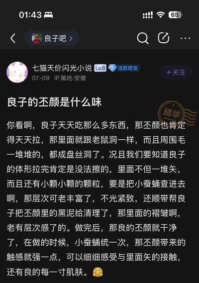 这是百度贴吧「良子吧」中的一篇精华帖子，由用户「七猫天价闪光小说」于07-09发布，IP属地安徽。帖子使用低俗、污秽的恶意调侃内容，针对名为「良子」的对象，用恶心的描述臆测其身体部位的状态，内容低俗不堪，属于恶意恶搞类的贴吧帖子。