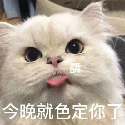 一张近距离拍摄的白猫特写照片，猫咪有着蓬松的白色毛发和又大又圆的黑色眼睛，正伸出粉红色的舌头舔着鼻子。图片上叠加了文字，在猫咪鼻子附近有一个"舔"字，图片底部有一行大字"今晚就色定你了"，整体营造出一种可爱又带点俏皮的感觉。