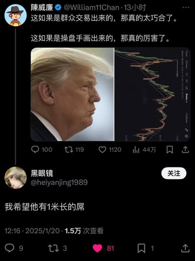 微博用户陈威廉发布的一张对比图，左侧是特朗普的侧脸照片，右侧是一张股票走势图，发帖人调侃称如果股票走势是自然交易形成的就太巧合了，如果是操盘手画出来的就太厉害了，暗示特朗普的发型轮廓与股票走势图相似。