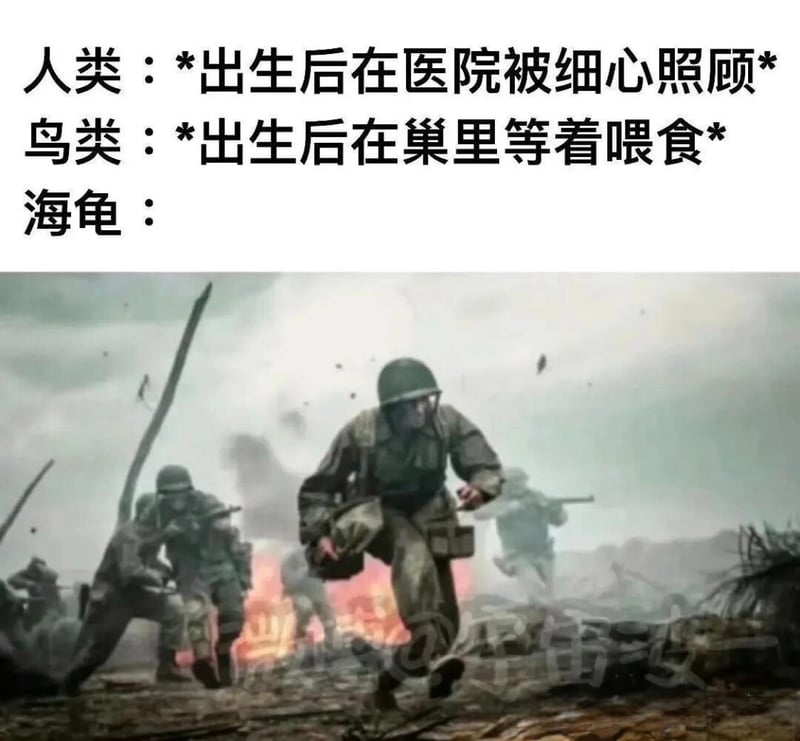 战争题材影视/游戏画面