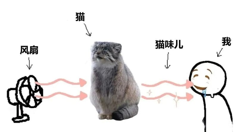 兔狲