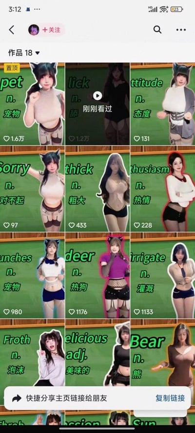 这是一张国内短视频平台（推测为抖音）的创作者主页作品截图，以九宫格形式展示了12条（底部另有部分内容被遮挡）英语词汇教学类内容。每条内容都以绿色黑板为背景，搭配穿着性感、带有猫耳等cosplay元素的真人女性形象，同时标注英文单词、词性与中文释义，试图通过擦边的视觉形式吸引用户关注并学习英语词汇。其中存在多处明显的知识错误，例如将“deer（鹿）”标注为“热狗”、“punches（拳击、殴打）”标注为“宠物”，属于为博眼球而忽略内容准确性的擦边教学内容。作品点赞量从97到1.6万不等，显示这类内容在平台拥有一定受众。