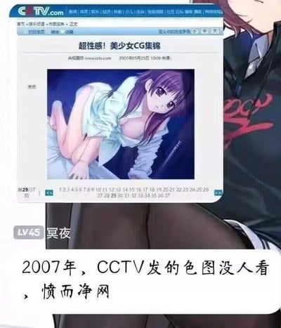 这张图上半部分是2007年央视国际CCTV.com娱乐频道「悦图宝典」栏目发布的《超性感！美少女CG集锦》真实网页截图，展示了栏目发布的性感向二次元美少女CG内容，网页截图后方搭配了动漫人物背景，图下方附有网友发布的调侃文案，整体是网友基于历史网页素材创作的反差梗图。