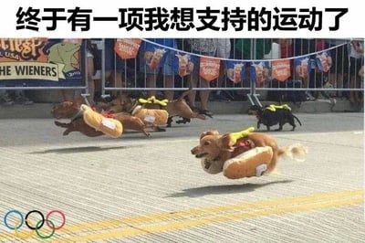 图片上方配有文字“终于有一项我想支持的运动了”，主体画面是数只腊肠犬穿着热狗面包造型的服装在赛道上奔跑，背景有围栏和观看的人群，左下角添加了奥运五环标志。整体通过将可爱的腊肠犬赛跑与奥运会元素结合，营造出幽默轻松的氛围，表达对这种趣味运动的喜爱。