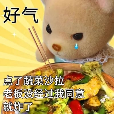 这是一张充满搞笑反差感的表情包，画面主体是森贝儿家族的毛绒小熊玩偶，它眼角挂着一滴晶莹的泪水，神情委屈巴巴，正注视着面前一盘被炸过的蔬菜。图片上方用醒目的字体写着“好气”，下方配文“点了蔬菜沙拉 老板没经过我同意就炸了”，结合当下很多人追求健康轻食、点蔬菜沙拉的饮食趋势，用老板擅自把沙拉做成油炸版本的反套路意外，制造出荒诞又搞笑的效果，小熊的委屈表情完美呼应了期望落空又有点无奈的情绪，适合用来吐槽生活里这类哭笑不得的小意外。