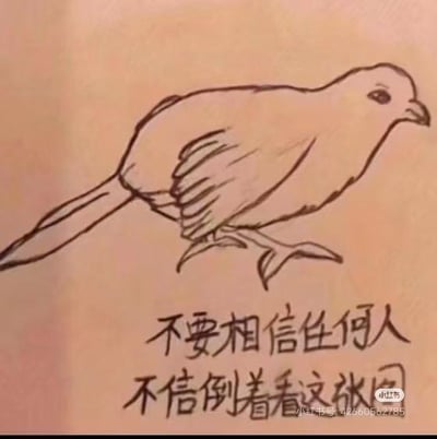 这是一张图文混排的手绘线稿图，画面主体是一只呈站立姿态的鸟类线稿，下方配有文字“不要相信任何人 不信倒着看这张图”。这是一个视觉错位整蛊梗，当将图片倒转后，原本的鸟类外形会形成一个不雅的人体部位图案，利用视觉错觉制造强烈反差，通过引导性文字让用户发现这个反转趣味点，达到整蛊效果。