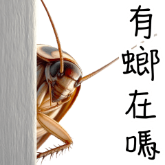 小强