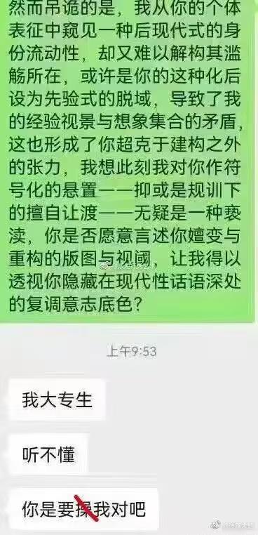 这是一张竖屏的聊天记录截图，上方绿色消息框中发送了一段充斥着后现代、解构主义等晦涩学术术语的长文本，试图用高深的表述来交流；下方白色消息框的回复则非常直白，先是表示自己是大专生听不懂，最后更是用一句被划掉的粗俗直白的话误解了对方的意思，形成了强烈的反差感，讽刺了过度使用晦涩语言故作高深的行为，搞笑又接地气。