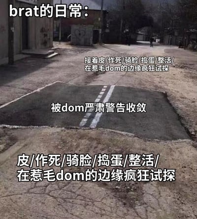 图片展示一张带有明显修补痕迹的路面照片，修补区域呈矩形，中间有白色虚线分隔，形似一个象征性的“边界”或“警告区域”。上方文字标注“brat的日常：”，上下区域文字均为“接着皮/作死/骑脸/捣蛋/整活/在惹毛dom的边缘疯狂试探”，中间区域文字为“被dom严肃警告收敛”。通过路面补丁的视觉隐喻，幽默表现了“brat”角色反复挑衅“dom”、被警告后又重蹈覆辙的循环行为模式，充满调侃趣味。