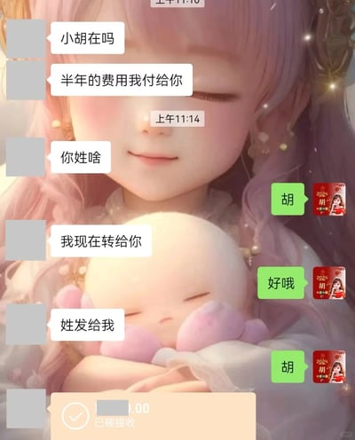 这是一张合成的趣味聊天记录截图，背景为AI生成的抱着玩偶、面带微笑的粉色头发卡通女孩，聊天内容来自微信平台：付款方联系名为小胡的收款人，告知要支付半年的费用，先是询问小胡的姓氏，小胡回复“胡”后，付款方表示要转账，随后却再次索要姓氏，小胡无奈再次回复“胡”，最后转账成功显示“已被接收”。付款方重复询问已得到答案的问题，这种粗心的行为让日常的付费沟通变得充满趣味。