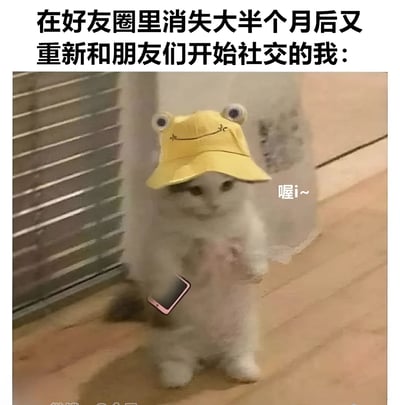 图片上方有文字“在朋友圈里消失大半个月后又重新和朋友们开始社交的我：”，下方是一只戴着黄色青蛙帽的白色猫咪，它站立着，一只爪子拿着粉色手机，旁边配有“喔i~”的文字气泡。猫咪表情略带紧张，整体画面幽默地表现了久未社交后重新开始社交时的尴尬与紧张心情。