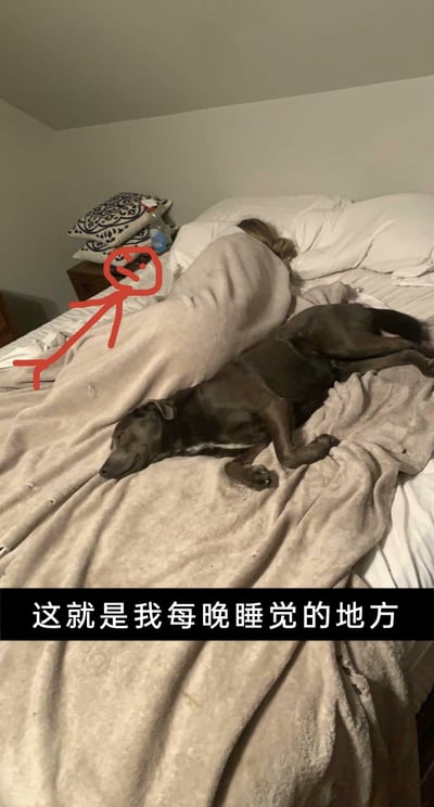 这是一张卧室场景的实拍图，床上一位盖着浅棕色毯子的主人仅能占据床铺角落的狭小空间，红色简笔画标注出该位置，大半个床铺被一只深棕色的狗狗占据，狗狗正趴在毯子上睡得十分安稳。图片底部配有文字“这就是我每晚睡觉的地方”，生动展现了铲屎官被自家宠物抢占床位，无奈只能缩在小角落睡觉的好笑又真实的日常，充满生活趣味。
