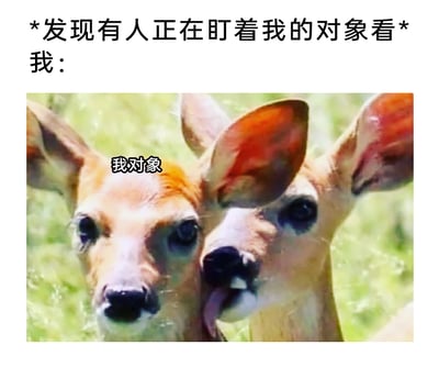 这是一张情侣向搞笑梗图，上方配有情境文字“*发现有人正在盯着我的对象看* 我：”，下方是两只鹿的实拍照片，其中左侧鹿的头部上方标注了“我对象”的文字，右侧的鹿代表“我”，正亲昵地舔舐左侧鹿的脸颊。图片用动物的亲昵动作拟人化，生动表现出发现他人关注自己对象时，立刻通过亲密互动宣示主权、护着对象的吃醋又占有欲满满的小情绪，画面诙谐有趣，精准戳中情侣间的日常小心态。