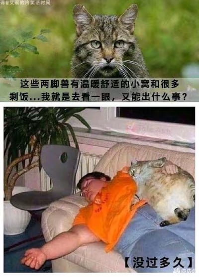 这是一张上下拼接的连环搞笑梗图，上图是一只表情严肃的灰猫，配文“这些两脚兽有温暖舒适的小窝和很多剩饭...我就是去看一眼，又能出什么事？”，表现出猫咪内心嘴硬、纠结，想靠近人类窝又给自己找借口的傲娇心态；下图配文【没过多久】，画面中这只猫咪直接惬意地躺在睡着的人类身上，霸占了人类的沙发小窝，前后形成强烈的反差，完美诠释了“真香”行为，搞笑地展现出猫咪傲娇又真实的天性，没有双关或谐音梗，仅通过前后行为的反差制造笑点。