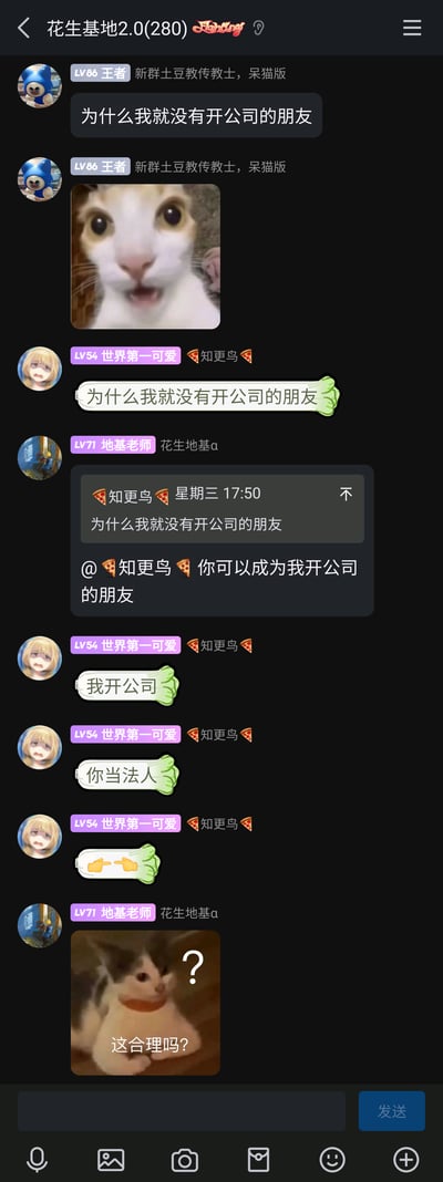 这是一张名为“花生基地2.0(280)”的QQ群聊天记录截图，群内成员先是接力式吐槽“为什么我就没有开公司的朋友”，成员“地基老师”接话表示可以让“知更鸟”成为自己开公司的朋友，随后“知更鸟”玩梗回复“我开公司，你当法人”，利用大众认知中“公司法人需承担经营责任”的职场常识制造笑点，最后“地基老师”发送带有问号的疑惑猫猫表情包，表达对这个玩笑的不解，整个对话充满轻松搞笑的群聊氛围，是网友即兴创作的职场玩梗内容。