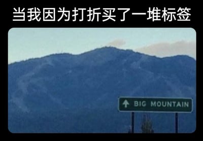这是一张用来调侃冲动消费的搞笑梗图，采用图文结合的形式呈现。画面顶部配有简体中文文字“当我因为打折买了一堆标签”，下方是一张户外风景照片：背景是一座体量庞大的深蓝色山脉，右下角设有一个绿色的道路指示牌，牌面印有向上的箭头和英文“BIG MOUNTAIN”，箭头指向背景中的山脉。图中利用“BIG MOUNTAIN（大山）”的字面含义进行双关，将自己因打折冲动囤下的大量标签比作眼前的这座大山，幽默地自嘲了冲动消费后面对“囤货如山”的无奈又好笑的处境，容易引发有类似消费经历的人群共鸣。