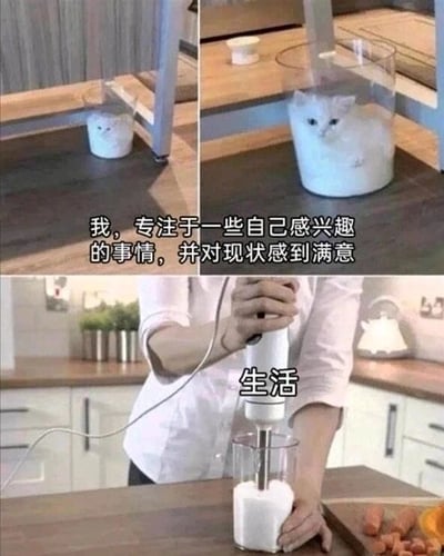 暂无描述