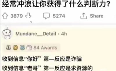 这是一张社交媒体截图，顶部以黑色粗体字提问'经常冲浪让你获得了什么判断力?'，下方显示3879个点赞、5274条评论和分享按钮。用户Mundane__Detail在4小时前发布了内容，获得84个Awards，内容为'收到信息"你好"第一反应是诈骗 收到信息"老哥"第一反应是求资源的'，用幽默方式调侃了长期上网形成的信息判断直觉。
