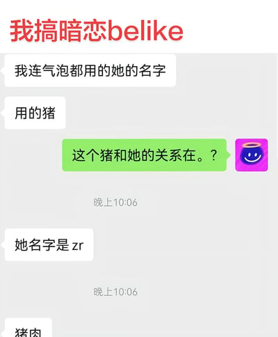 这是一张搞笑聊天记录梗图，顶部以红色字体标注文字“我搞暗恋belike”，聊天内容显示：一名用户称自己设置聊天气泡时用了暗恋对象名字相关的关键词，说自己用的是“猪”，另一名用户疑惑不解，询问“猪”和暗恋对象的关系，随后前者解释暗恋对象的名字拼音首字母是“zr”，刚好对应“猪肉（zhu rou）”的拼音首字母，是用谐音的方式暗戳戳和暗恋对象关联，笑点在于旁人原本以为用“猪”是对对方有恶意，实际是暗恋的隐晦小心思，呼应了原标题“还以为是仇人”。