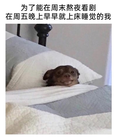 这是一张顶配底文的静态单图，画面主体是一只深色小狗，它躺在铺有灰白拼接床品的床上，仅露出脑袋，盖着被子靠在白色枕头上，脸上带着略带得意的微笑，眼神看起来充满期待。图片上方配有文字“为了能在周末熬夜看剧 在周五晚上早早就上床睡觉的我”，通过拟人化的方式，将小狗比作提前早睡养精蓄锐、准备周末熬夜看剧的当代年轻人，精准还原了年轻人为了周末娱乐活动特意调整作息的可爱日常，容易引发网友的共鸣。
