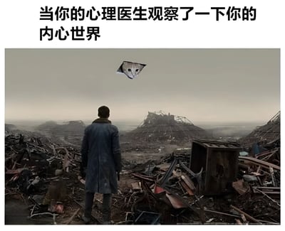 图片上方配有文字'当你的心理医生观察了一下你的内心世界'，下方是一张末日废墟场景的图片，画面中一名身穿长款外套的人背对着镜头站立，眺望遍地瓦砾和残破建筑的荒凉 landscape。天空中被拼接进一张猫咪的面部特写，形成强烈的反差幽默效果，暗示内心世界看似混乱荒芜，实则可能藏着可爱或简单的本质。