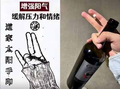 图片分为左右两栏，左侧是手绘风格的道家手势图，配有'增强阳气'、'缓解压力和情绪'、'道家太阳手印'等文字，中间有一个阴阳符号；右侧是真人手持红酒瓶的照片，手指姿势与左侧道家手势相似，形成幽默对比。