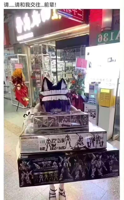 这是一张在动漫模型店门口拍摄的照片，画面中一位戴着猫耳、女仆头饰的人脸部被遮挡，双手抱着三个大小不一的高达模型包装盒，上方配文“请……请和我交往…前辈！”，用二次元爱好者喜爱的模型作为“告白信物”，营造出软萌羞涩的氛围，精准贴合ACG圈子的喜好，将爱好者的浪漫与羞涩感具象化。
