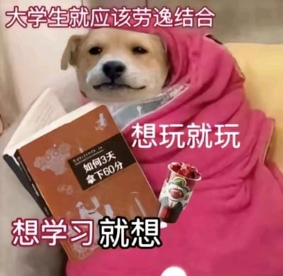 这是一张针对大学生群体创作的搞笑梗图，图中一只裹着粉色毯子的狗狗神态慵懒放松，靠卧在一处，身旁放着一本标题为《如何3天拿下60分》的书，还有一杯添加的饮品图案。搭配的文字“大学生就应该劳逸结合”“想玩就玩”“想学习就想”，精准调侃了部分大学生平时以玩耍放松为主，临近考试才临时抱佛脚、只求考试及格的佛系学习状态，用幽默的方式展现了当代大学生的备考心态和日常学习生活的反差。
