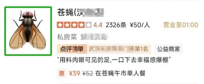 暂无描述