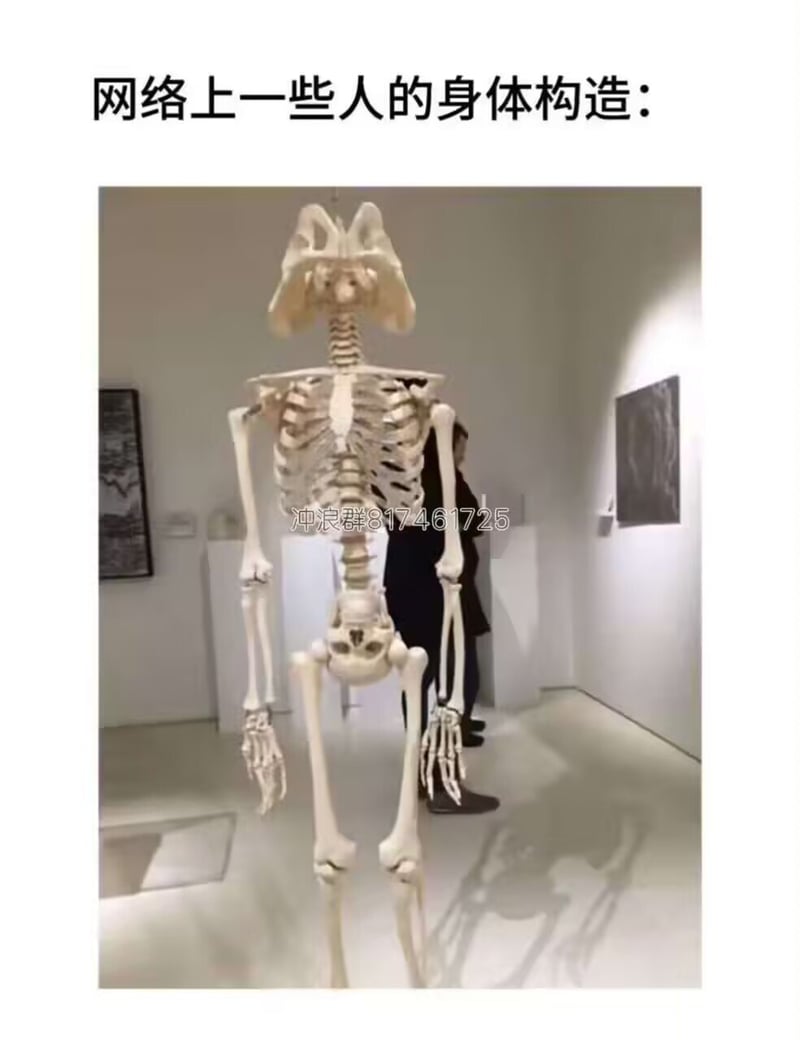 未知艺术展览展品