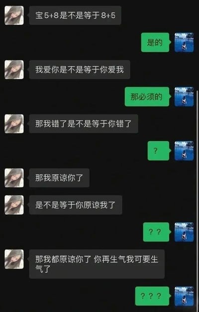 这是一组情侣之间的微信聊天截图表情包，开头女方用5+8等于8+5引出“我爱你是不是等于你爱我”，随后层层递进“我错了是不是等于你错了”、“我原谅你是不是等于你原谅我”，最终逻辑陷入混乱，引发男方持续的问号回复。本图通过数学等式类比，幽默而无厘头地表现了情侣间日常沟通中女生“绕逻辑圈”、自洽但无解的对话风格，充分展现了情侣互相原谅、小情绪和日常无厘头的气氛。

双关/暗示：首格的数学等式（5+8=8+5）作为引子，后面用于情感类推，形成幽默效果。

表达的是恋人间常见的逻辑跳跃及撒娇式“胡搅蛮缠”。