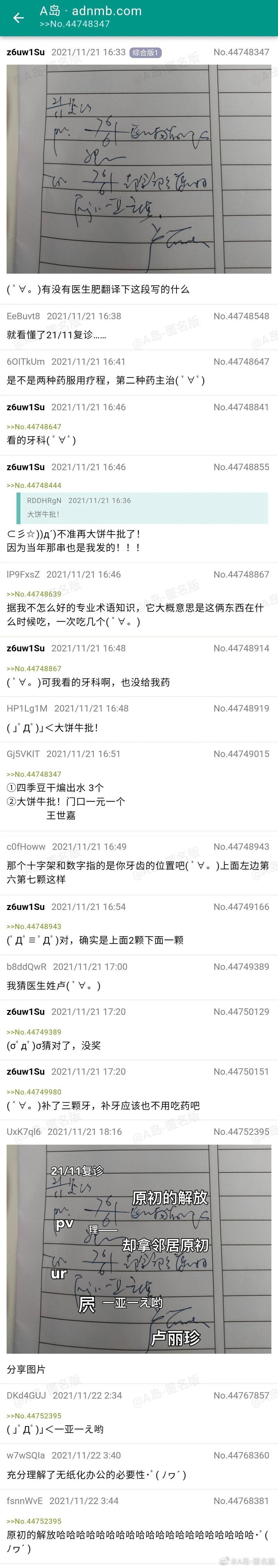 A岛网友