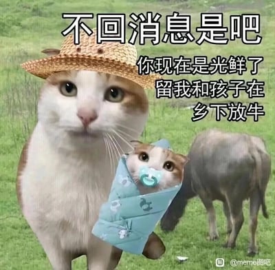 这是一张经过P图创作的搞笑meme表情包，画面将两只猫的形象与乡下放牛的场景结合：一只戴着草帽的成年猫抱着裹在襁褓里、含着奶嘴的小猫，背景是绿色的草地和一头牛。配文以成年猫的视角，用戏仿怨妇的语气控诉对方不回消息，调侃对方在外面过得光鲜亮丽，自己却带着孩子在乡下辛苦放牛，通过夸张的反差感制造幽默效果，多用于社交场景中以戏谑的方式催促他人回复消息。