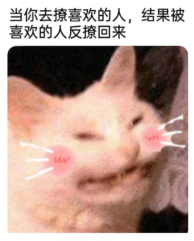 这是一张经过二次创作的网络表情包，顶部配有文字“当你去撩喜欢的人，结果被喜欢的人反撩回来”，图中主体是一只无毛猫，它双眼微闭，原本的神态被添加了带有“w”字样的粉色红晕特效后，生动呈现出害羞又带着一丝窃喜的模样，精准还原了在和喜欢的人互动时，主动撩拨却反被撩后内心小鹿乱撞、害羞不已的恋爱情绪，非常适合用于情侣或暧昧对象之间的社交互动，传递那种又羞又甜的心情。