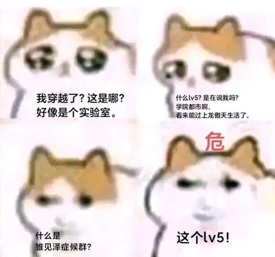 这是一张由四格悲伤猫（mur猫）表情包组成的连环图文梗图，通过连贯的剧情制造反差笑点：第一格中，猫咪一脸迷茫，配文表现穿越到陌生实验室的困惑；第二格猫咪眼神发亮，误以为自己来到了《魔法禁书目录》中的学院都市，将‘lv5’当成了该作品里的超能力者等级，憧憬着过上‘龙傲天’式的爽文生活；第三格猫咪露出疑惑神情，询问‘什么是雏见泽症候群’；第四格猫咪满脸惊恐，上方标注红色的‘危’字，此时它才反应过来‘lv5’是《寒蝉鸣泣之时》里雏见泽症候群的最高发病等级，意味着自己身处极度危险的雏见泽，原本的美好幻想瞬间破灭，剧情的反转形成了强烈的喜剧效果，精准戳中ACG爱好者的笑点。