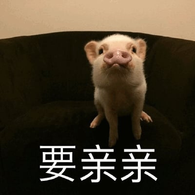 一只白色小香猪坐在黑色沙发上，抬头仰望着前方，粉色的鼻子微微翘起，耳朵竖起，表情呆萌又带着期待。图片底部有白色文字“要亲亲”，与小猪的可爱神态相呼应，整体营造出温馨治愈的氛围。