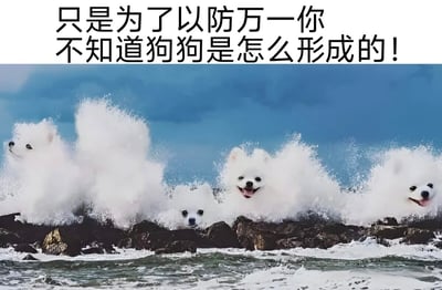 图片上半部分为黑色粗体文字“只是为了以防万一你不知道狗狗是怎么形成的！”，下半部分是创意合成的海景图。画面中深蓝色天空下，海浪拍打着黑色岩石，而浪花的白色部分被巧妙替换成多个白色博美犬的头部——有的狗头向左张望，有的咧嘴微笑，有的从浪花中探出头来，表情呆萌可爱。通过将海浪形态与狗头结合，形成“狗狗从海浪中形成”的幽默视觉效果，充满趣味性和想象力。