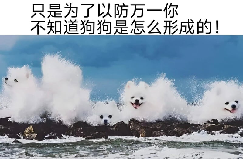 博美犬