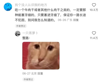 社交媒体评论区截图，展示了一段关于长途驾驶防困方法的幽默对话。一位用户建议吃能塞牙缝的肉干来保持清醒，另一位用户则用一张眼神专注的猫咪图片回应“整路：”，暗示猫咪的专注表情就像一路都在试图弄出牙缝里的肉干一样。