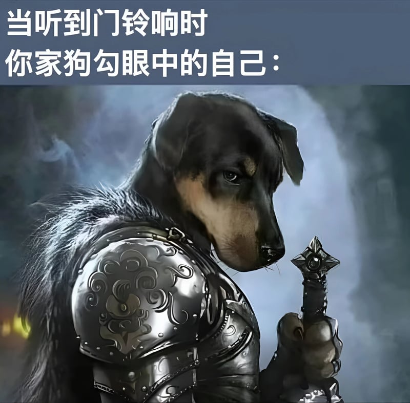 狗
