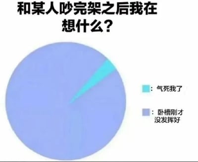 一张幽默风格的饼图 meme，标题为“和某人吵完架之后我在想什么？”。图表主体为一个蓝色圆形，其中占绝大多数面积的深蓝色区域标注“卧槽刚才没发挥好”，仅有极小部分浅蓝色区域标注“气死我了”，通过夸张的比例对比，生动展现了人们在争吵结束后，懊悔自己未能充分表达或反驳（即“没发挥好”）的情绪远胜于当下愤怒的普遍心理状态。