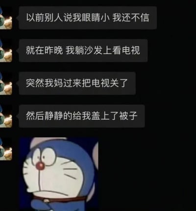 这是一张幽默梗图，上方有四行文字描述一个关于眼睛小的趣事："以前别人说我眼睛小 我还不信，就在昨晚 我躺沙发上看电视，突然我妈过来把电视关了，然后静静的给我盖上了被子"。图片下方是日本动漫《哆啦A梦》中的主角哆啦A梦，它双手交叉胸前，表情无奈，似乎在认同这个关于眼睛小的笑话。