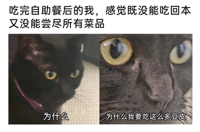 这是一张左右对比的图文搞笑梗图，上方配文点明核心场景：吃完自助餐的人，既没吃回本也没尝遍菜品，陷入懊恼。左侧是一只表情低落、眼神迷茫的黑猫，下方配文“为什么”，传递出对结果的不解与懊恼；右侧是该黑猫的脸部特写，眼神空洞又带着强烈的悔恨，下方配文“为什么我要吃这么多豆皮”，精准还原了多数人吃自助餐时的真实心态：原本抱着品尝多样菜品、吃够本的期待，却因一时选择失误，大量进食了廉价又占肚子的食物，事后陷入深深的后悔与自我吐槽，内容贴近生活，极易引发有类似经历的网友共鸣。
