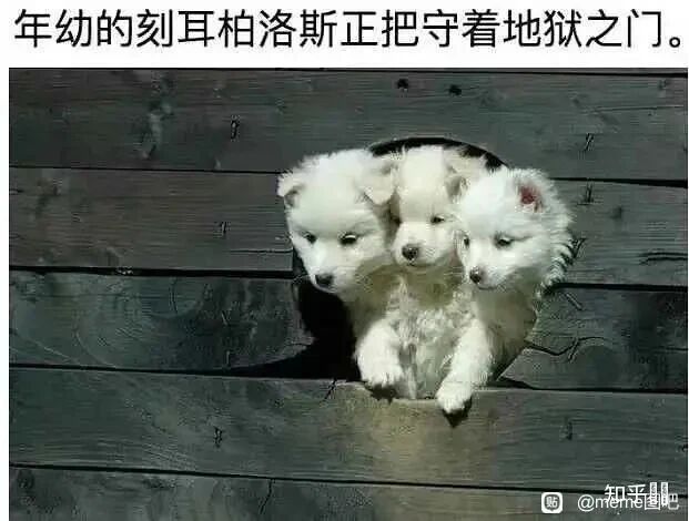 刻耳柏洛斯（对应第一只小狗）
